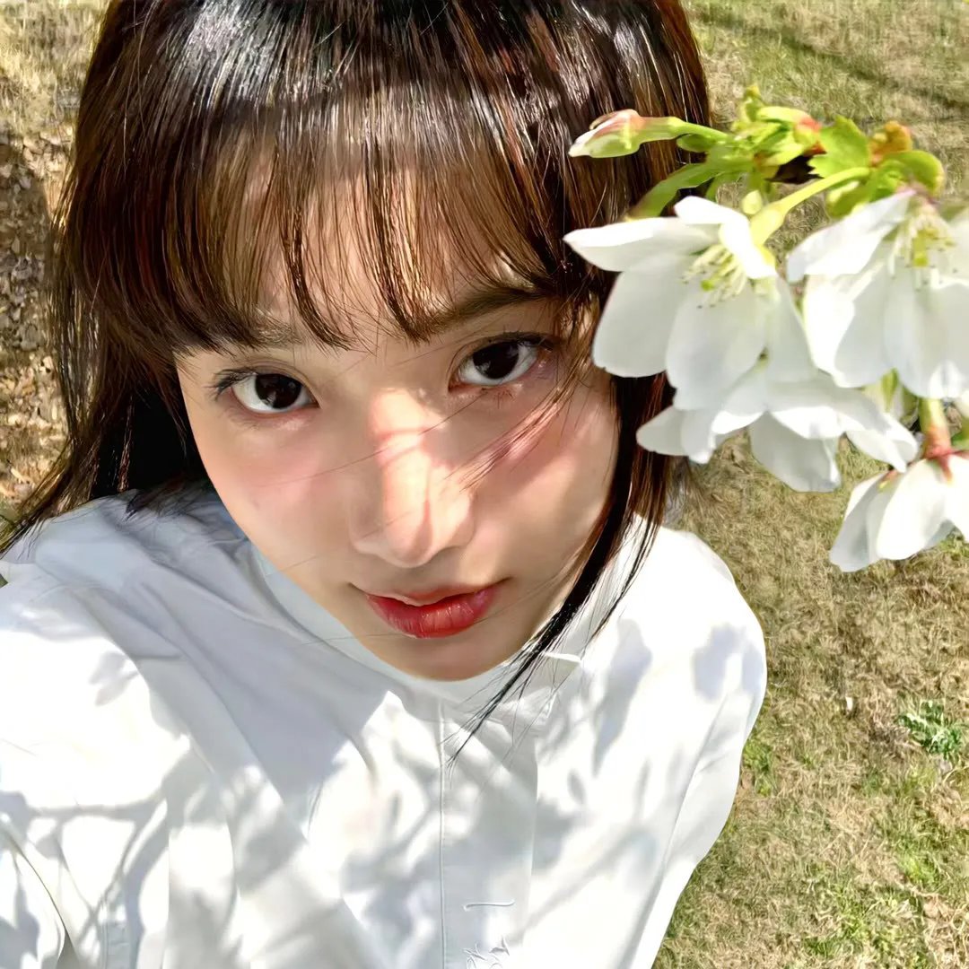 花儿与歌声